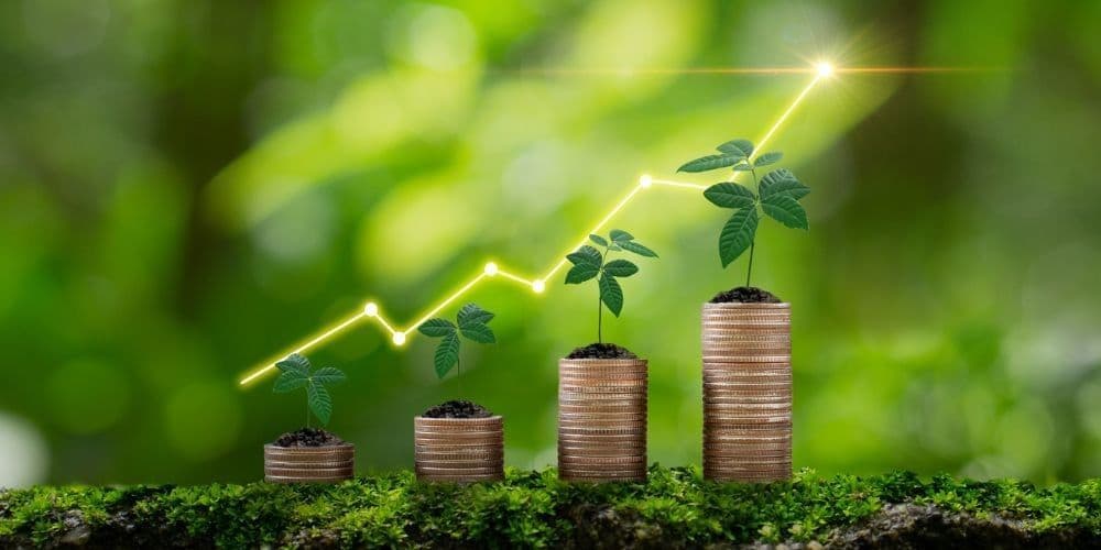 Finance & Insurance Services in Oakland